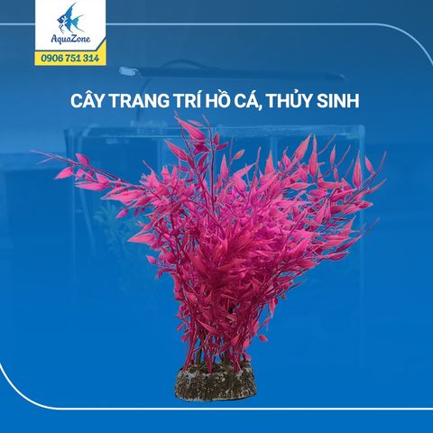 cây trang trí hồ cá cảnh, thủy sinh 10 [3206048]