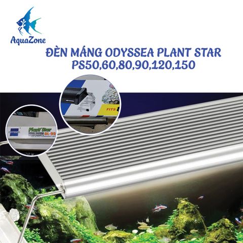 ĐÈN MÁNG ODYSSEA PLANT STAR 2 HÀNG BÓNG I PS50,60,80,90,120,150