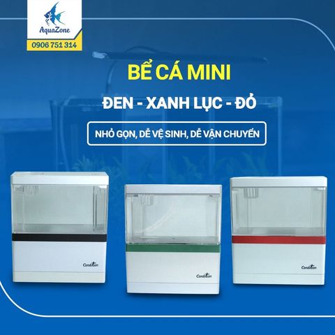 Bể cá cảnh mini trang trí bàn làm việc văn phòng