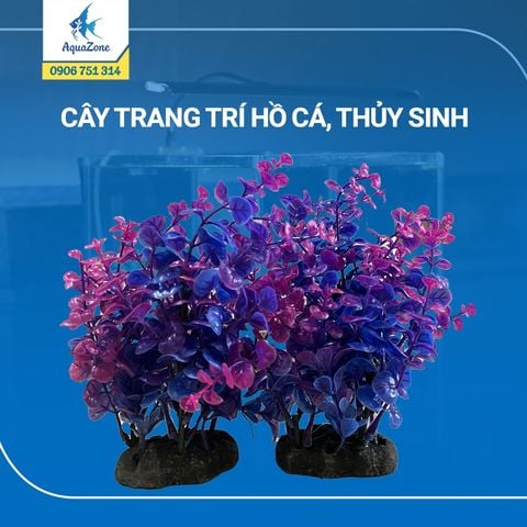 cây trang trí hồ cá cảnh, thủy sinh 18 [2005101]