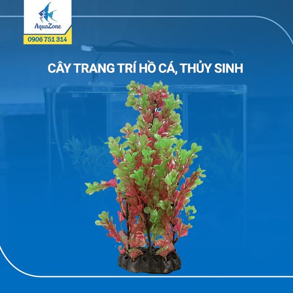 cây trang trí hồ cá cảnh, thủy sinh 12 [3206217]