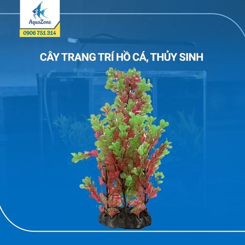 cây trang trí hồ cá cảnh, thủy sinh 12 [3206217]