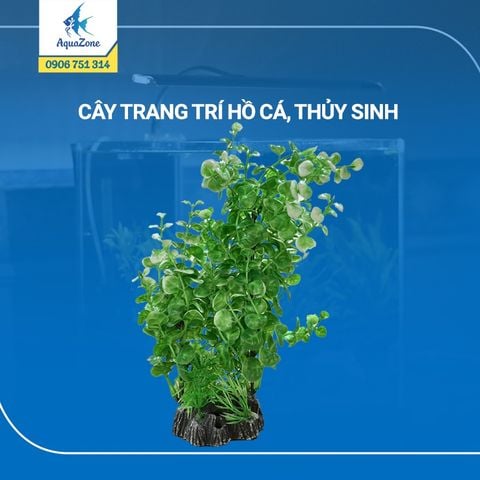 cây trang trí hồ cá cảnh, thủy sinh 15 [320610]