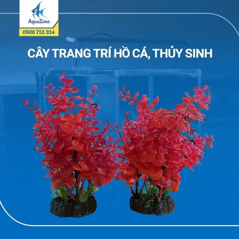 cây trang trí hồ cá cảnh, thủy sinh 17 [2005103]