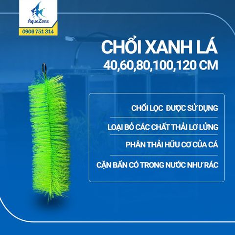 Chổi lọc nước hồ cá - Chổi xanh lá