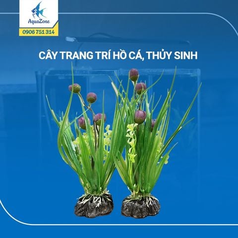 cây trang trí hồ cá cảnh, thủy sinh 14 [2403161]