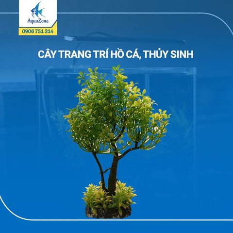cây trang trí hồ cá cảnh, thủy sinh 6 [2205543]