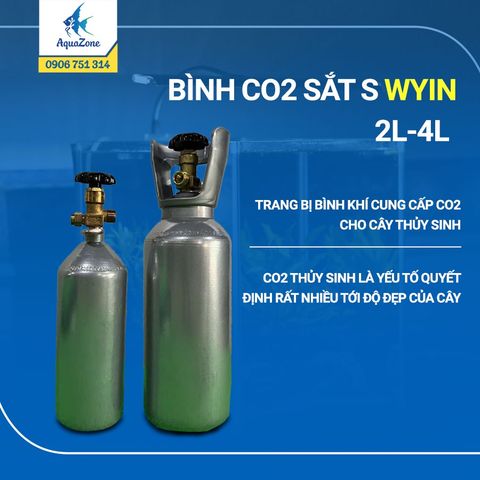 Bình CO2 Sắt S Wyin 2L, 4L cho hồ thủy sinh