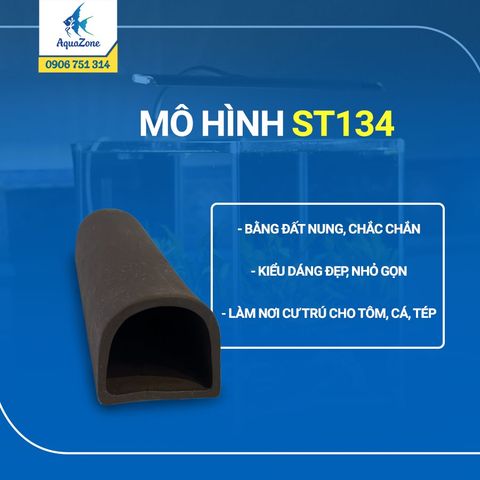 Mô hình hang động cho cá trú ST134
