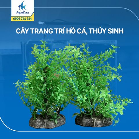 cây trang trí hồ cá cảnh, thủy sinh 21 [200554]
