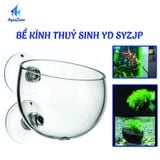 CỐC THỦY TINH MINI TRỒNG CÂY YD SYZJP