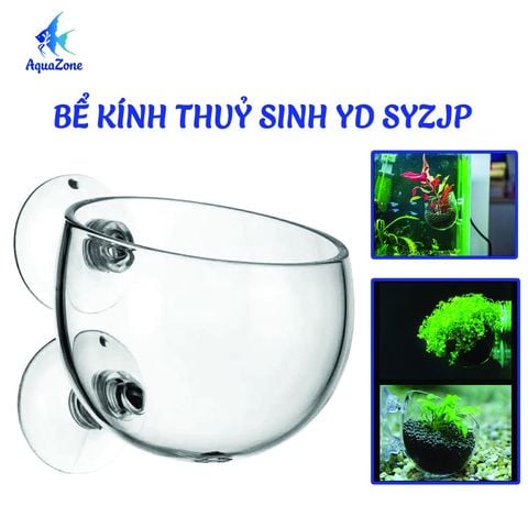 CỐC THỦY TINH MINI TRỒNG CÂY YD SYZJP