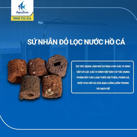 Sứ nhẫn đỏ lọc nước hồ cá -  Giúp tạo vi sinh - Lọc nước siêu trong, Trọng lượng 1kg,500gram,300gram,200gram