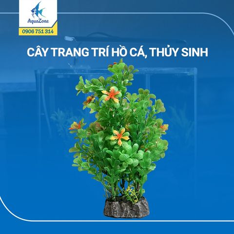 cây trang trí hồ cá cảnh, thủy sinh 20 [320606]