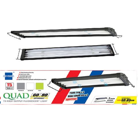 ĐÈN MÁNG ODYSSEA T5 (4 BÓNG)