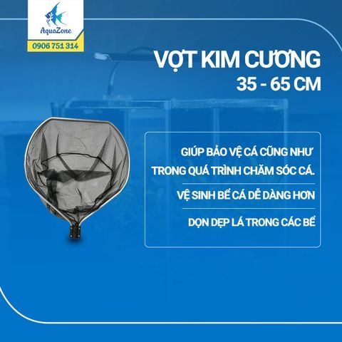 Vợt kim cương bắt cá koi, cá rồng hình Oval