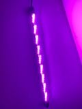 ĐÈN LED TRÒN XML 4 HÀNG BÓNG (N) TĂNG MÀU ĐỎ/ VÀNG/ TRẮNG CHO CÁ RỒNG | ĐÈN LED ĐẶT CHÌM DÀNH CHO BỂ CÁ