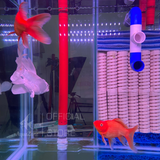 Đèn led tròn XML 4 hàng bóng đỏ/vàng/trắng siêu sáng nâng cấp độ màu cho cho cá Koi - cá rồng