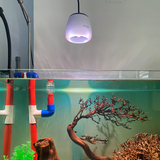 Đèn thủy sinh ZETLIGHT O2