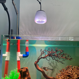 Đèn thủy sinh ZETLIGHT O2