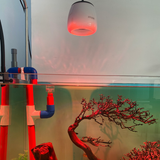 Đèn thủy sinh ZETLIGHT O2