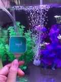 Sủi oxy mini siêu êm Nepall