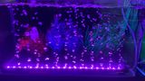 Thanh sủi kết hợp đèn trang trí bể cá độc đáo JXP15~JXP120 ( KÈM ĐIỀU KHIỂN) | P20~P120