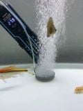 Đĩa sủi oxy bể cá siêu mịn Yee , hạt sủi liti có sẵn phụ kiện đi kèm
