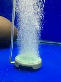 Đĩa sủi oxy bể cá siêu mịn Yee , hạt sủi liti có sẵn phụ kiện đi kèm