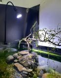 Đèn rọi bán cạn Riverzone cao cấp JL35W 45W ánh sáng trắng , WRGB siêu thực