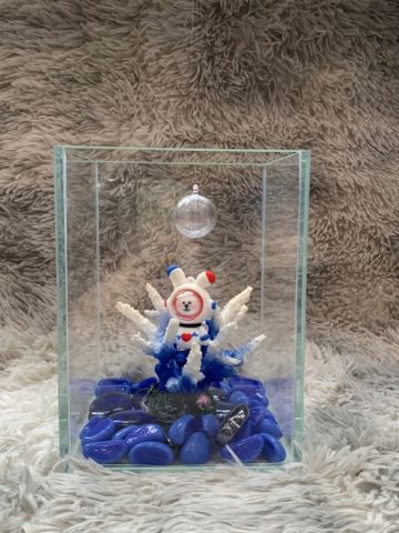 COMBO Bể cá trong suốt 20x15