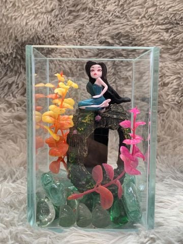 COMBO Bể cá trong suốt 15x10