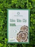  Nấm Vân Chi Thành Đồng 