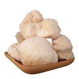  Nấm Đầu Khỉ Thành Đồng 