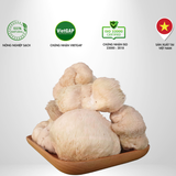  Nấm Đầu Khỉ Thành Đồng 