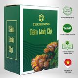  Nấm Linh Chi Cắt Lát Thành Đồng 