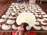  Nấm Linh Chi Nguyên Tai Thành Đồng 