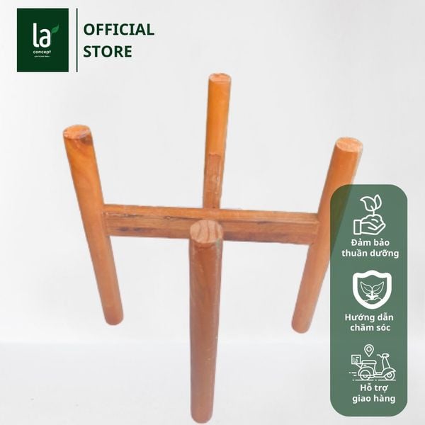  Đôn gỗ đỡ chậu cây cảnh 