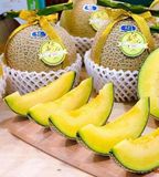  Dưa Lưới Fuji Melon Nhật 