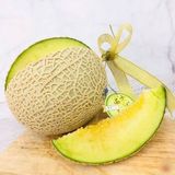  Dưa Lưới Fuji Melon Nhật 