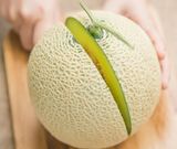  Dưa Lưới Fuji Melon Nhật 