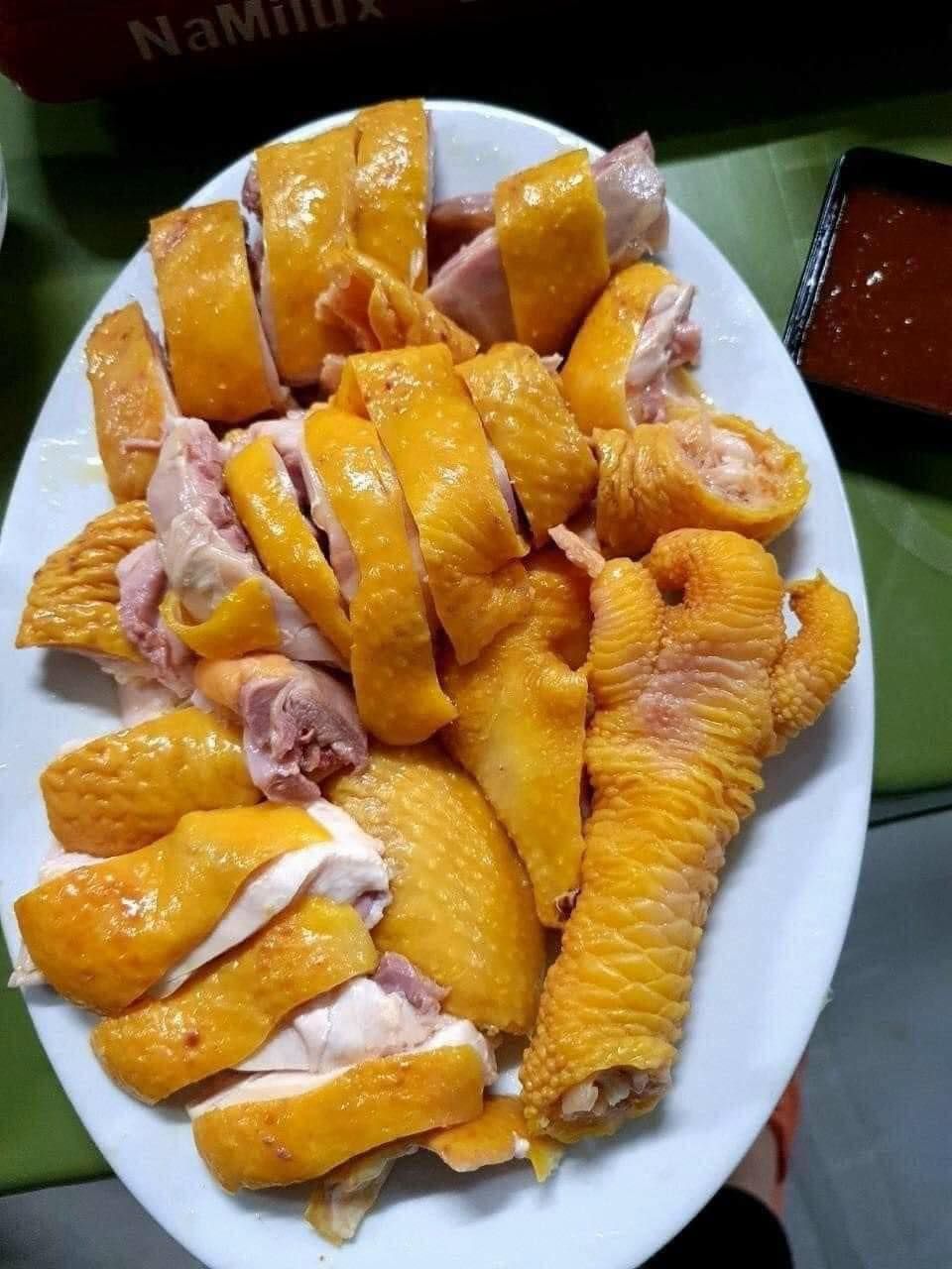 Cách chế biến gà Đông Tảo thành các món ăn hấp dẫn Cách chế biến gà Đông Tảo thành các món ăn hấp dẫn