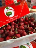  Cherry Newzeland 30+ 