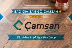 Sàn Gỗ Camsan 8mm 2502 (Hèm V Độc Quyền)