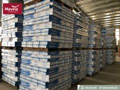 Sàn Gỗ Pago KN101