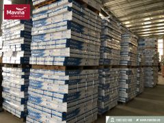 Sàn Gỗ Savi 8038-12mm