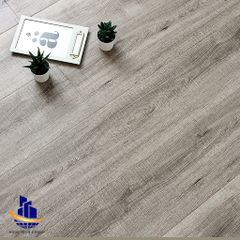 Sàn gỗ Raptor 12mm R12