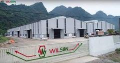 Sàn Gỗ Wilson W440
