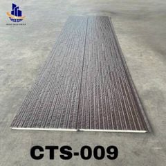 Tấm Panel CTS-008
