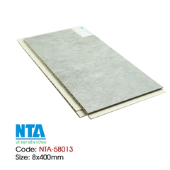 Tấm Ốp NTA-58013